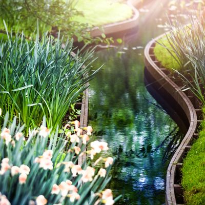 Magischer Spiegel Zauberfluss - Manuela Fasoli Magischer Spiegel Zauberfluss - Manuela Fasoli