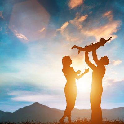 Familienschutz Flush -  Manuela Fasoli