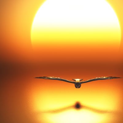 Physische Medialität - Manuela Fasoli - 2020 Physische Medialität - Manuela Fasoli - 2020