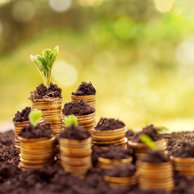 Bereitstellung nicht ortsgebundener Informationen für Reichtum - Manuela Fasoli - 2020