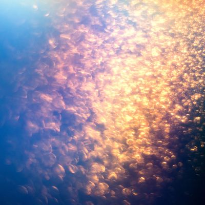 Magische Zauber Essenz - Manuela Fasoli Magische Zauber Essenz - Manuela Fasoli