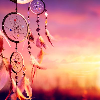 Schamanen Traum Flush Reiki - Manuela Fasoli