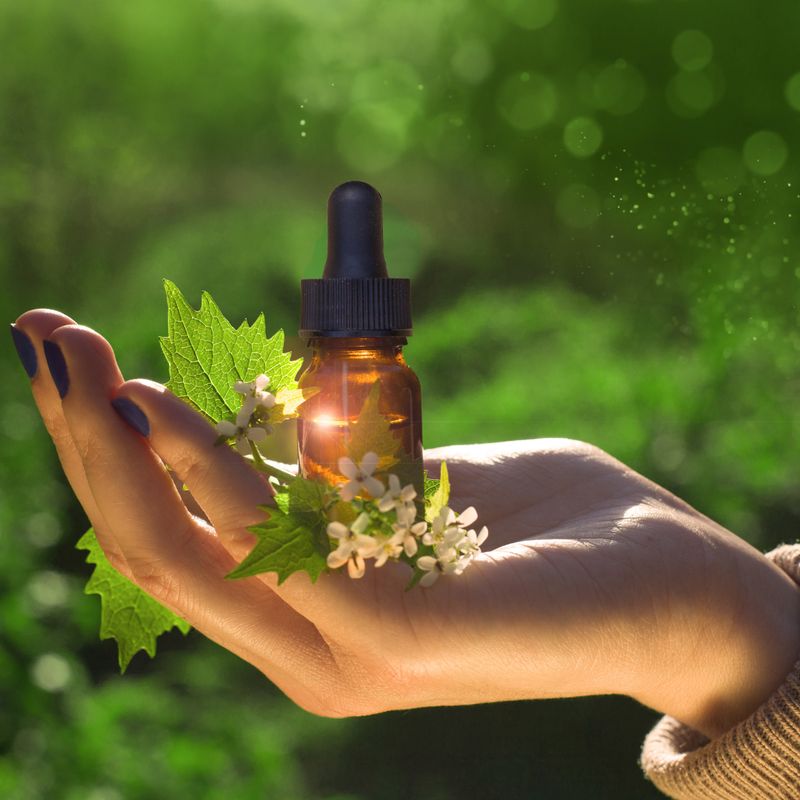 GRĂśNE WALDESSENZ - Argandini Titisari GRĂśNE WALDESSENZ - Argandini Titisari