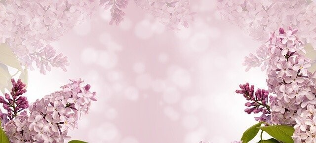 DUALE LICHTER FÜR MENTALE BESCHLEUNIGUNG - Hari Andri Winarso -  ?? Deutsch ODER ?? English