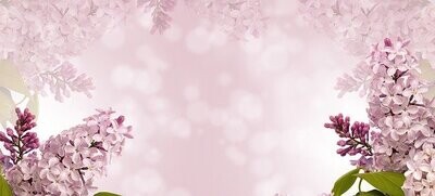 DUALE LICHTER FÜR MENTALE BESCHLEUNIGUNG - Hari Andri Winarso -  ?? Deutsch ODER ?? English