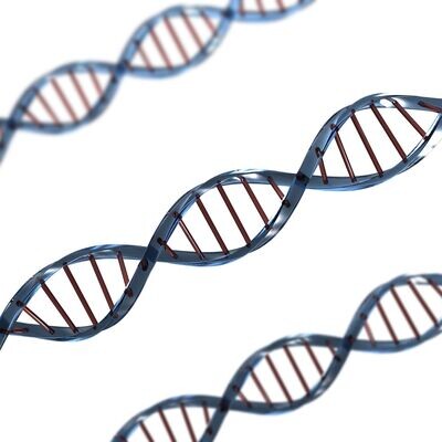 DNA AUFSTIEGS-EINWEIHMUNG​  -  Hari Andri Winarso - 2024 - ?? Deutsch ODER ?? English