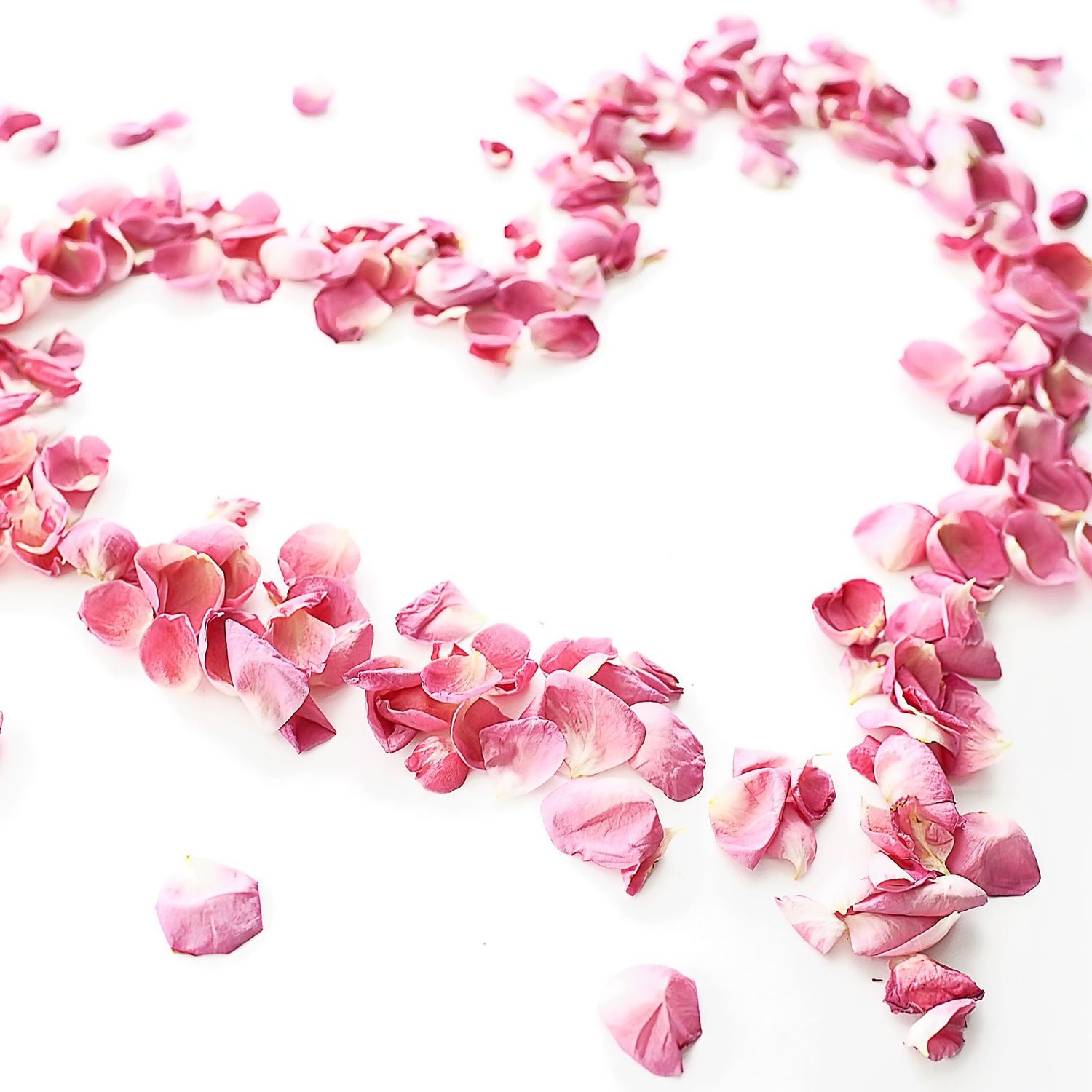 Meine Süße Liebe - Ekaterina Fedosova - 2024 - ?? Deutsch ODER ?? English