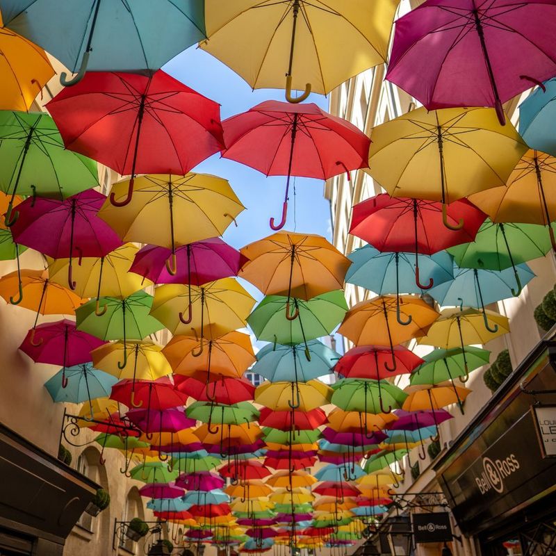 Schutzschirm Reiki  - Ekaterina Fedosova - 2024 - ?? Deutsch ODER ?? English