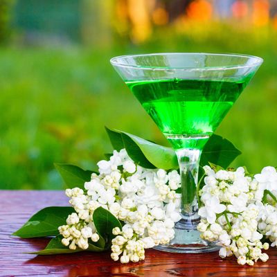 Magisches Elixier Absinth - Ekaterina Fedosova - 2024 - ?? Deutsch ODER ?? English