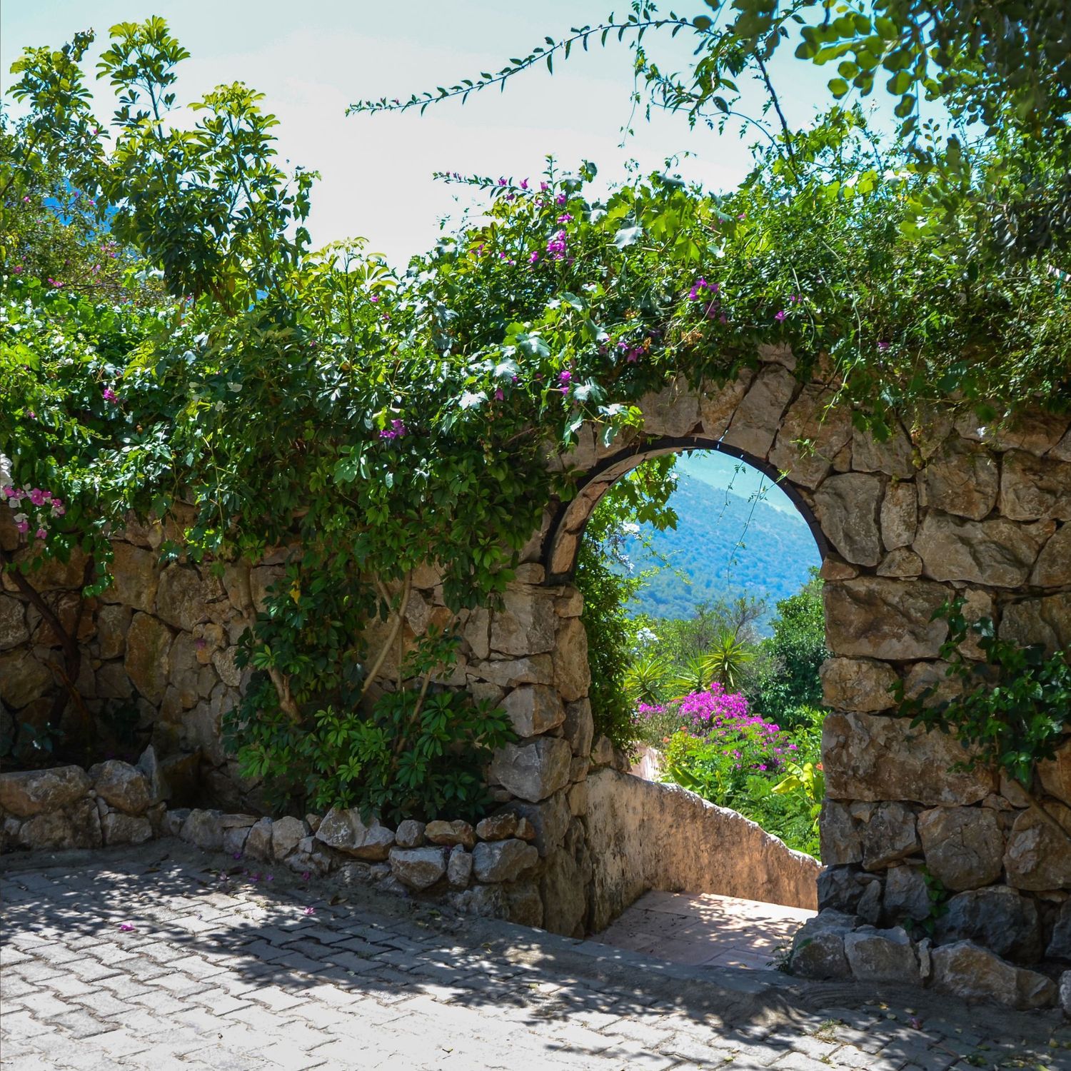 Hexengarten - Ekaterina Fedosova - 2025 - ?? Deutsch ODER ?? English