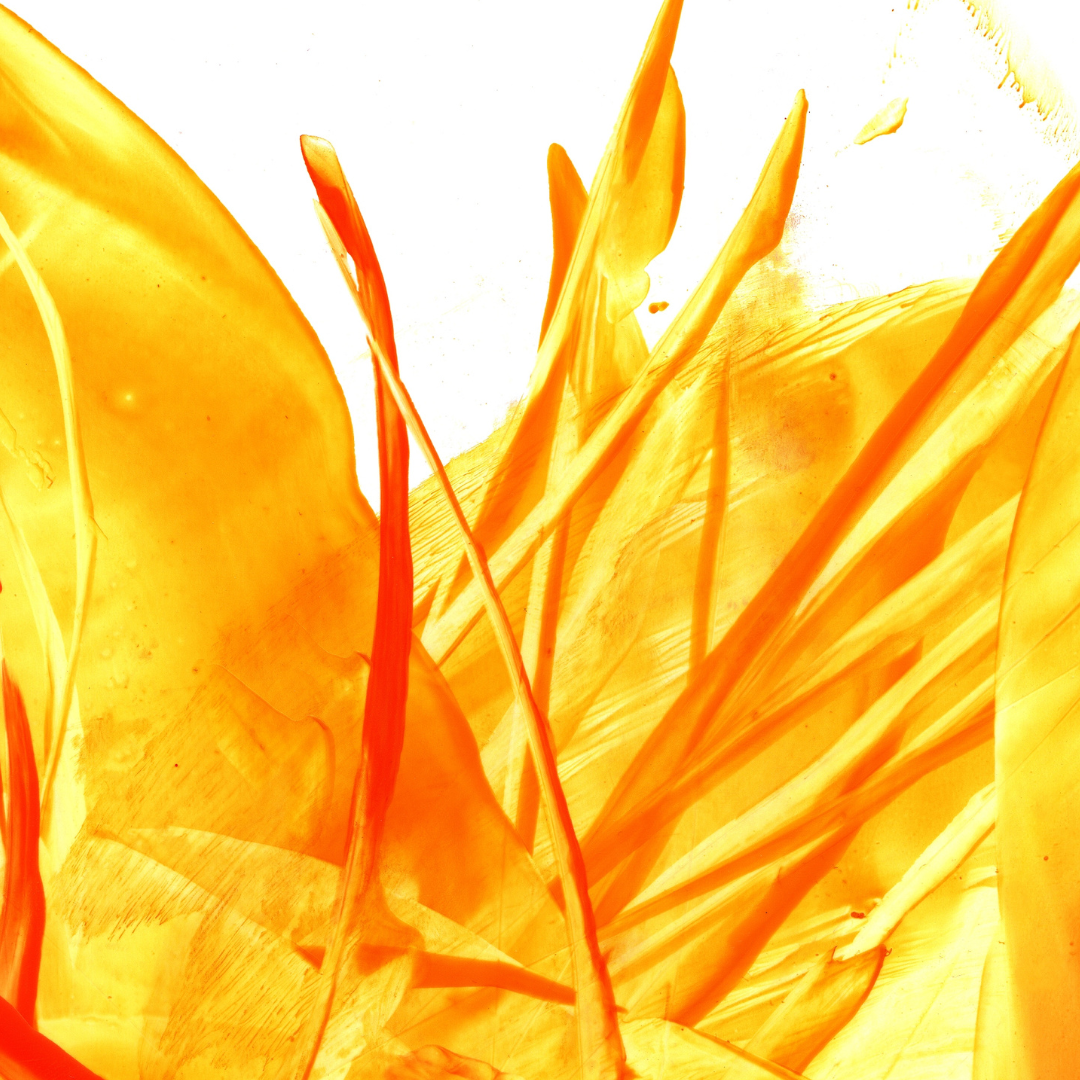 SEXUELLE QUANTEN ABSCHIRMUNGS MATRIX ​​​ -  KP. HARI ANDRI WINARSO WARTONAGORO - 2024 - MODERNES MAGISCHES SYSTEM  ?? Deutsch ODER ?? English