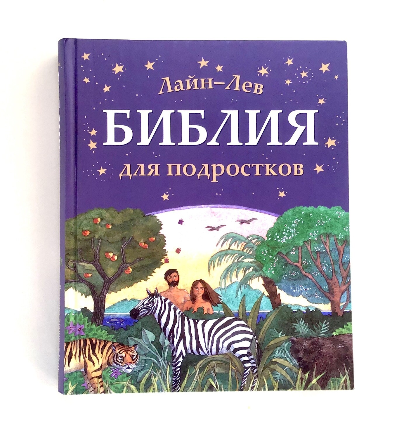 Russian Bible for teenagers. Библия для подростков.