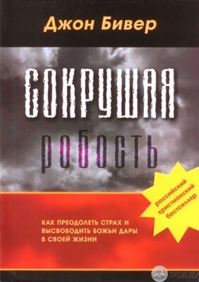 Джон Бивер. Сокрушая робость. Как преодолеть страх и высвободить Божьи дары в своей жизни
