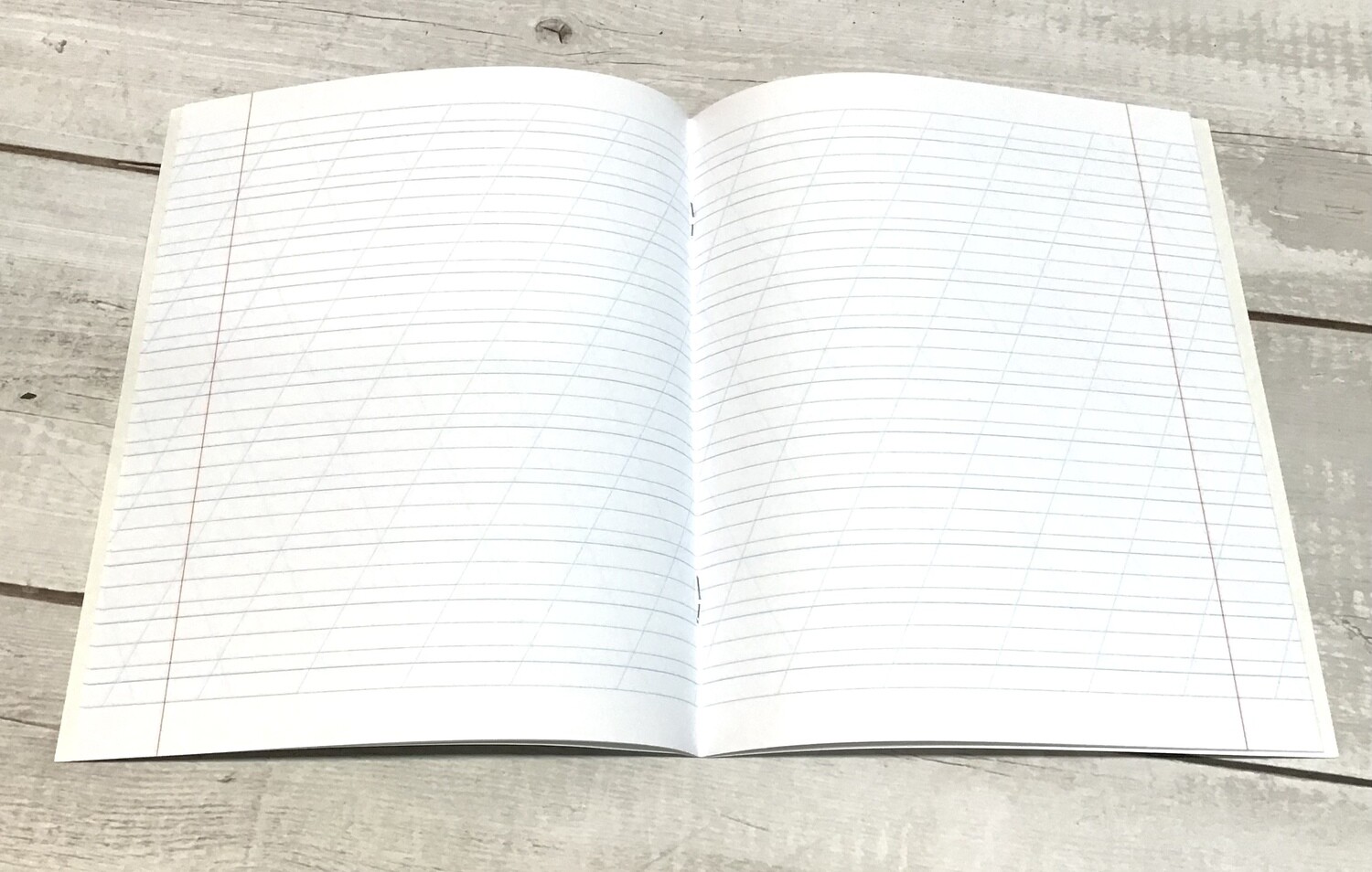 Russian and  Ukrainian School Handwriting Notebook. Зошити для каліграфічного письма 30 шт.