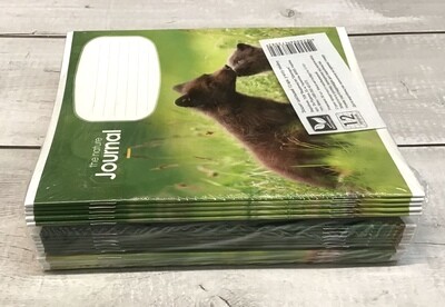 Russian and Ukrainian School Handwriting Notebook. Тетради в косую ленейу.