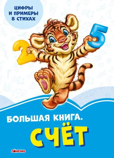 Васильковые книжки Большая книга. Счёт Сонечко