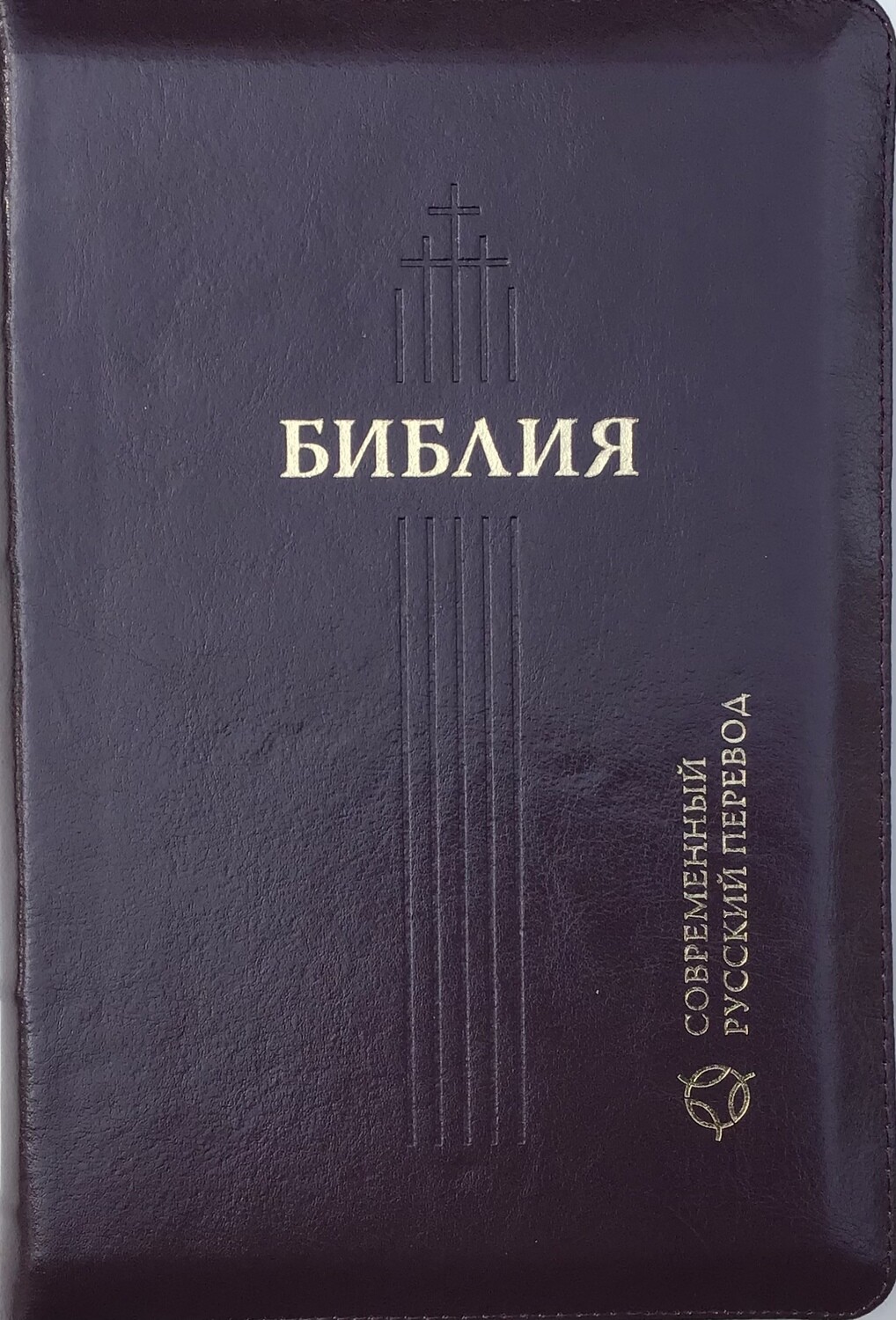 Russian Bible contemporary translation Библия в современном русском переводе