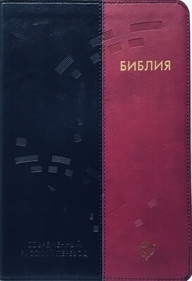Russian Bible contemporary translation Библия в современном русском переводе .