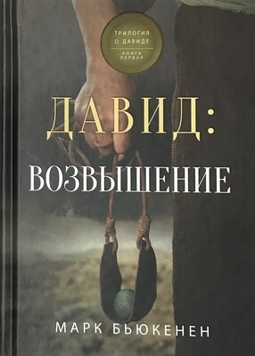 Давид: возвышение (книга первая)
