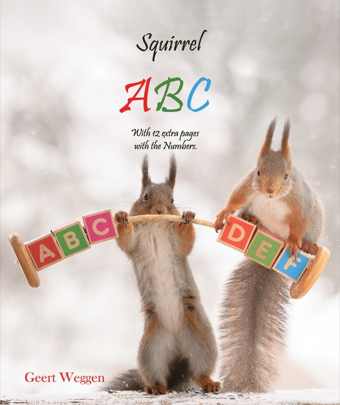 The Squirrel ABC Book