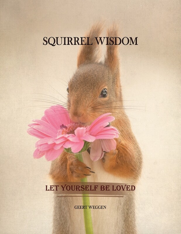 The Squirrel Wisdom book