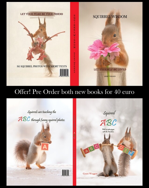 Offer: order both the Squirrel wisdom and
the squirrel ABC book