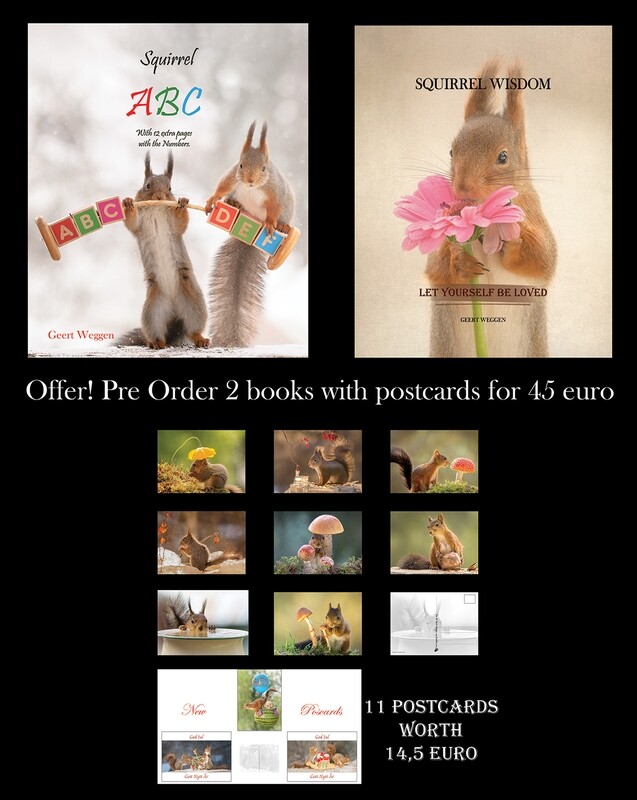 Offer: Squirrel wisdom+ABC book+postcards
