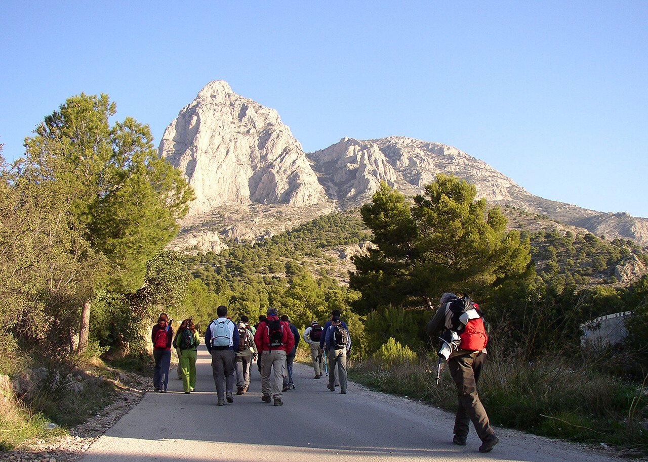 NORDIC WALKING