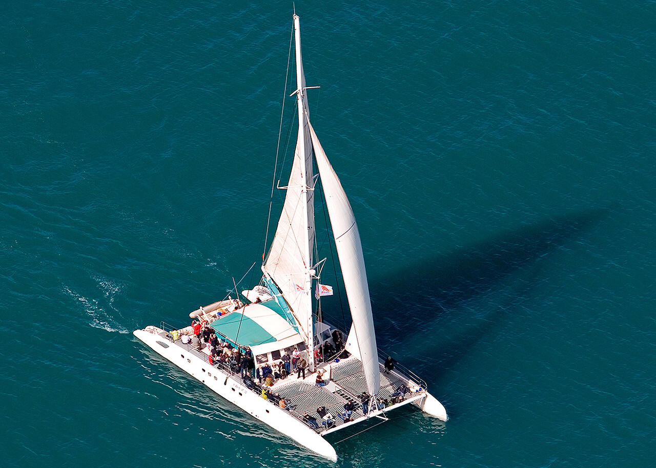 CATAMARAN SAILING TABARCA