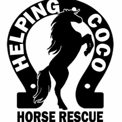Helping Coco Horse Rescue Charity
