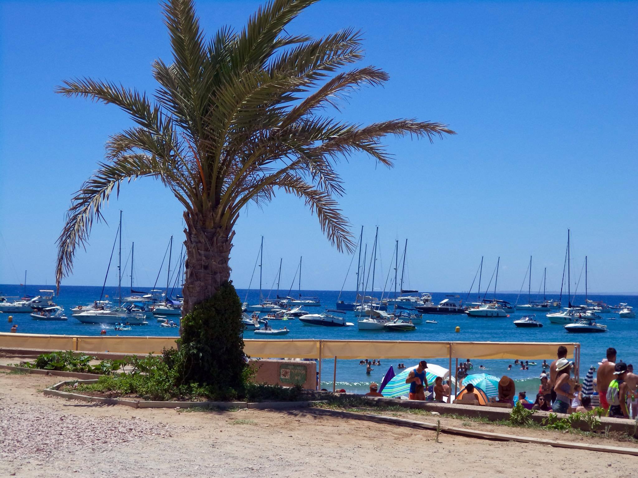 Alicante and Tabarca Boat Trip