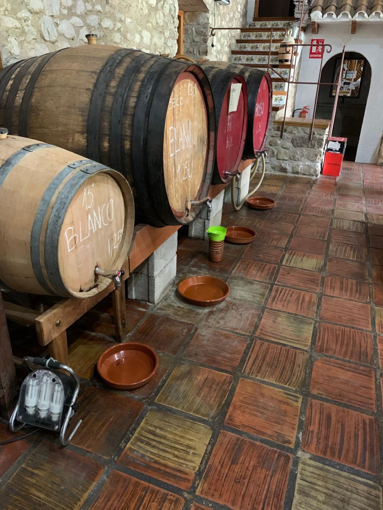 TRIPS - Jalon Valley and The Cave of Skulls TRIPS - Jalon Valley and The Cave of Skulls