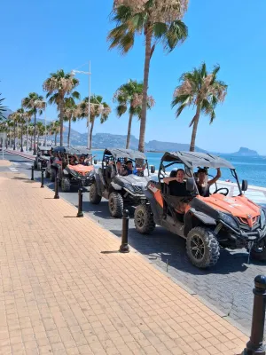 Buggies and Quads