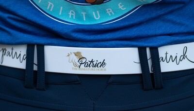 c4 Belt- White with Logo