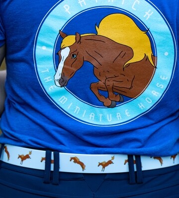 c4 Belt- Baby Blue with Jumping Sequence