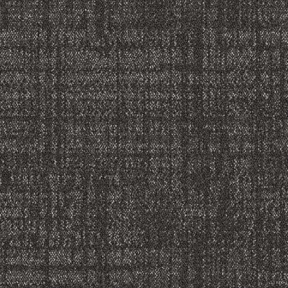 Delmar 208 - Carpet Tile 20x20 | 17 OZ | Solution Dyed Nylon