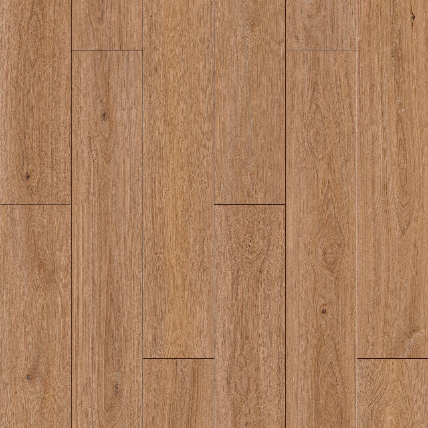 Woodward Oak 9&quot;x60&quot; AC4 Laminate Flooring Revive by Southwind