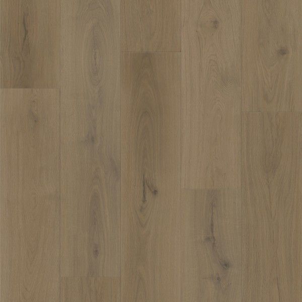 Forest Oak 7x48 | 20 mil wear layer | 2.5 mm thick Glue Down Vinyl Flooring