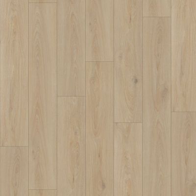 Driftwood Oak 7x48 | 20 mil wear layer | 2.5 mm thick Glue Down Vinyl Flooring | Boundless 20