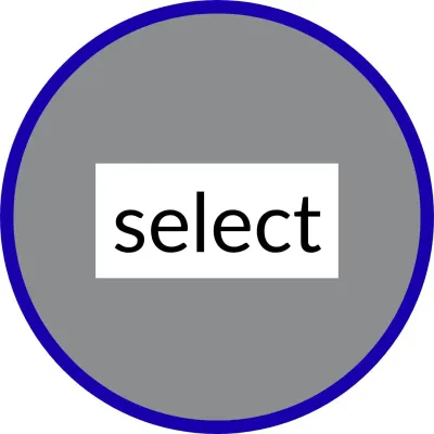 select - 6 mil wear layer - 2 mm thick - glue down LVP