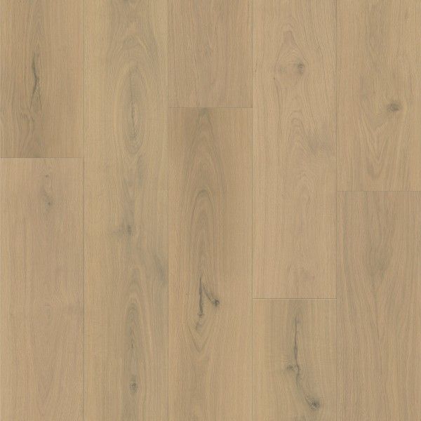 Toffee Oak 7x48 Glue Down Vinyl Flooring – 12 mil Wear Layer, 2mm Thick