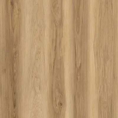 Springbrook Click Lock LVP Flooring – 9x60 Plank | 20 mil Wear Layer | 8mm (5/16") | WPC Core