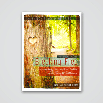 Breaking Free Participant's Guide .pdf Download - Study questions are left blank