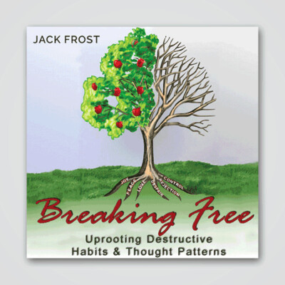 Breaking Free Uprooting Destructive Habits -7 CD Audio Series - Frost