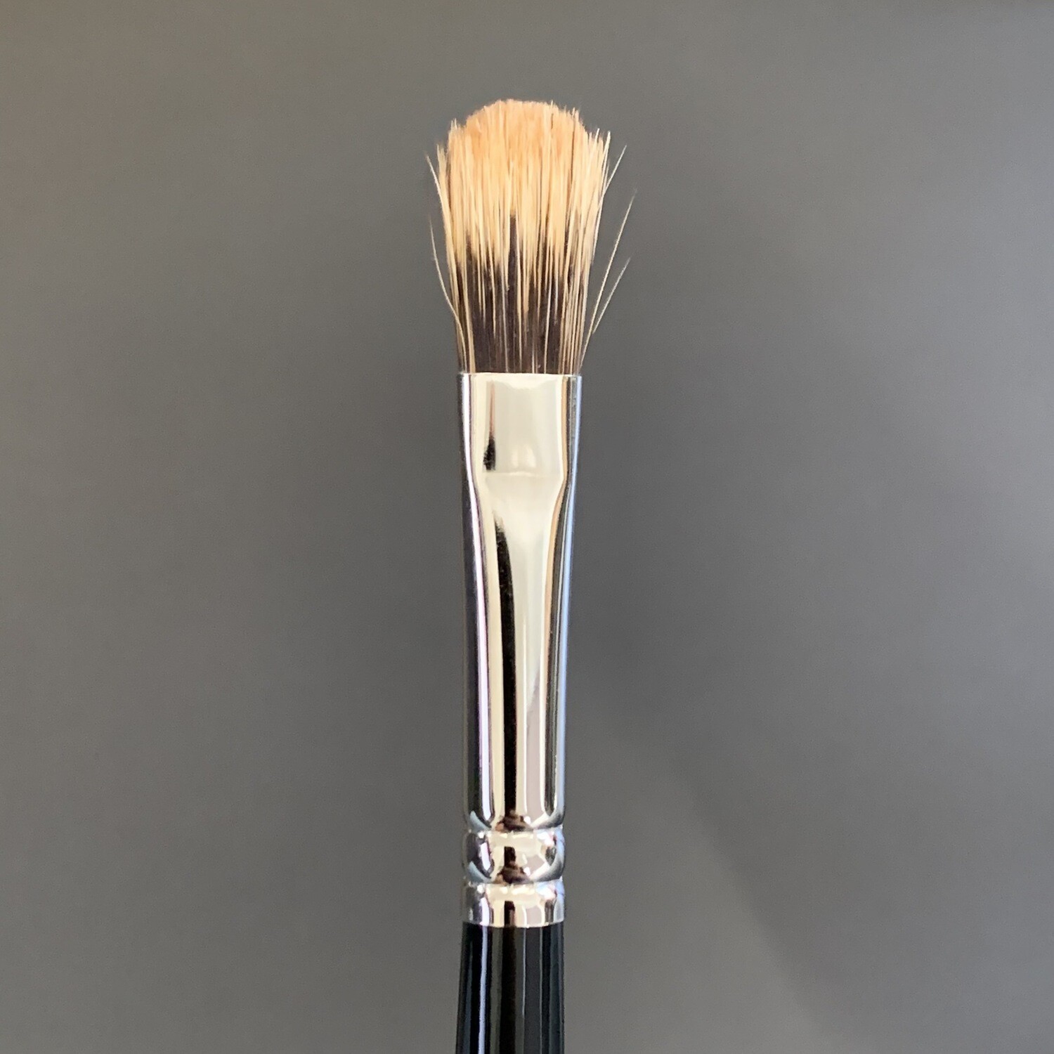 Mod 10 Pincel Series 278. Masters Choice Long No.5