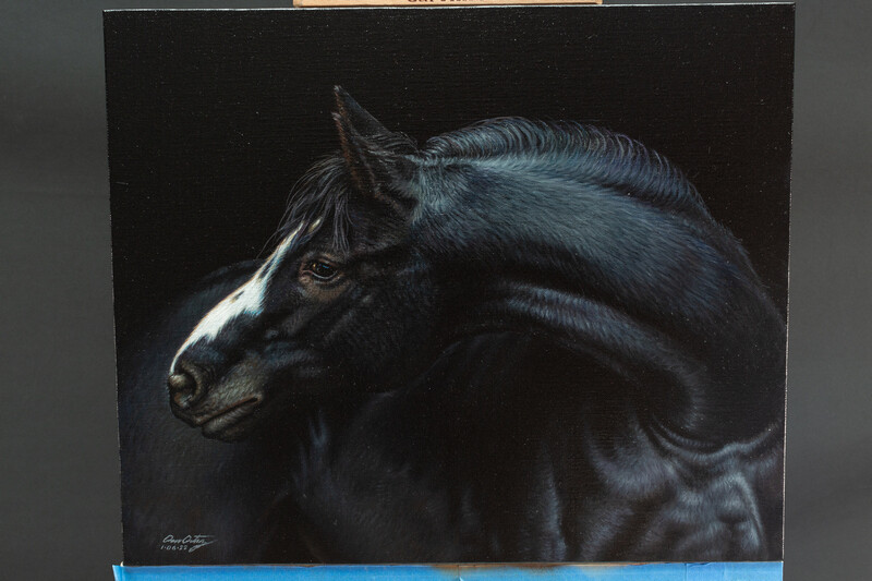 &quot;caballo negro&quot; 55.5 x 46 cm Oleo sobre lino $3000 USD