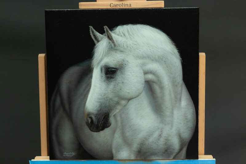 &quot;caballo blanco&quot; 45 x 45 cm Oleo sobre lino $2400 USD