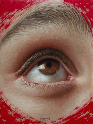 &quot;Mirando dentro del rojo&quot; 40 x 30 cm  Oleo sobre tela $1900 USD