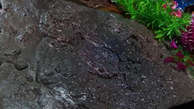 「濡岩」47cm X30cm前後　ジオラマ　ディスプレイ