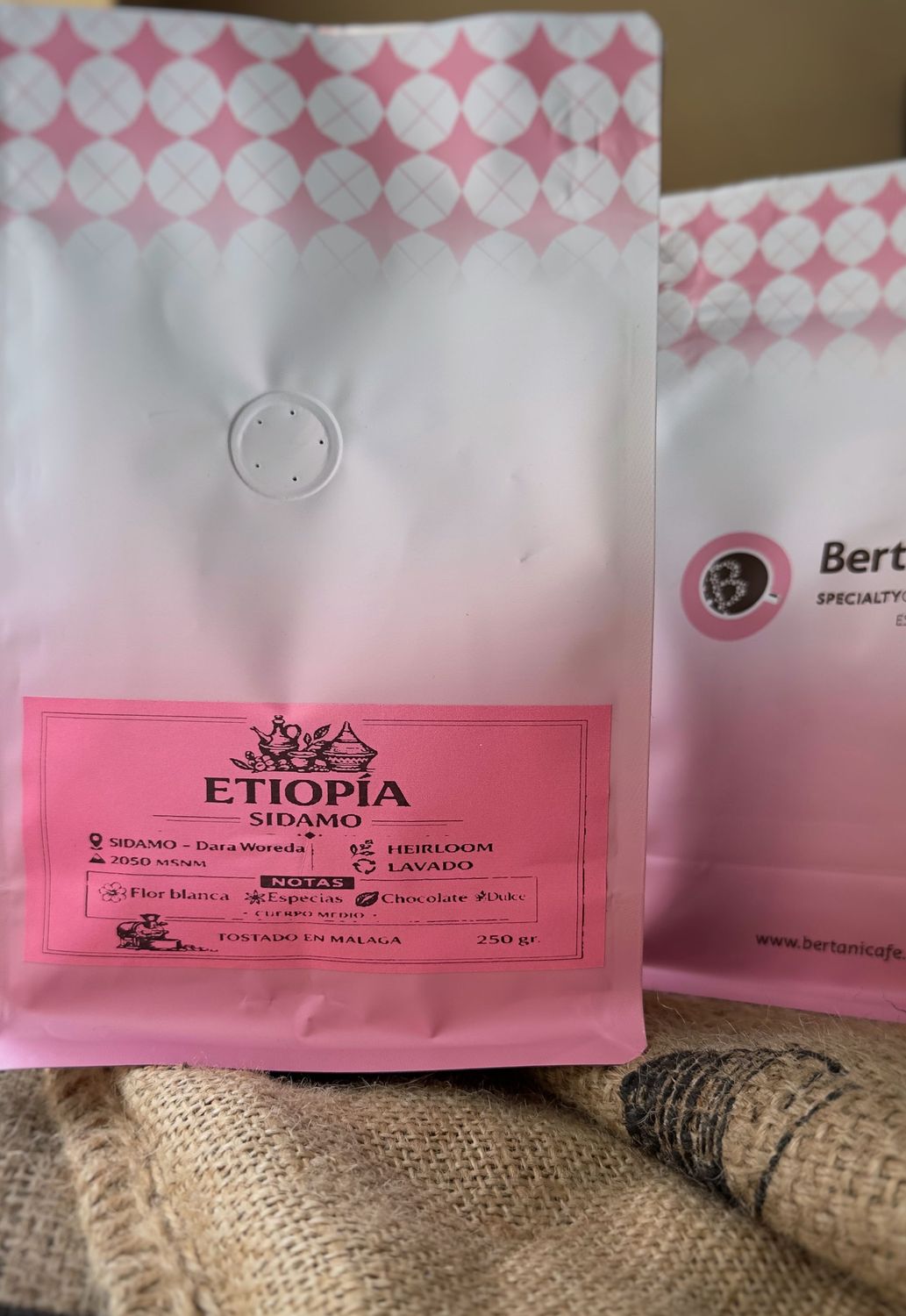 ETIOPIA  SIDAMO